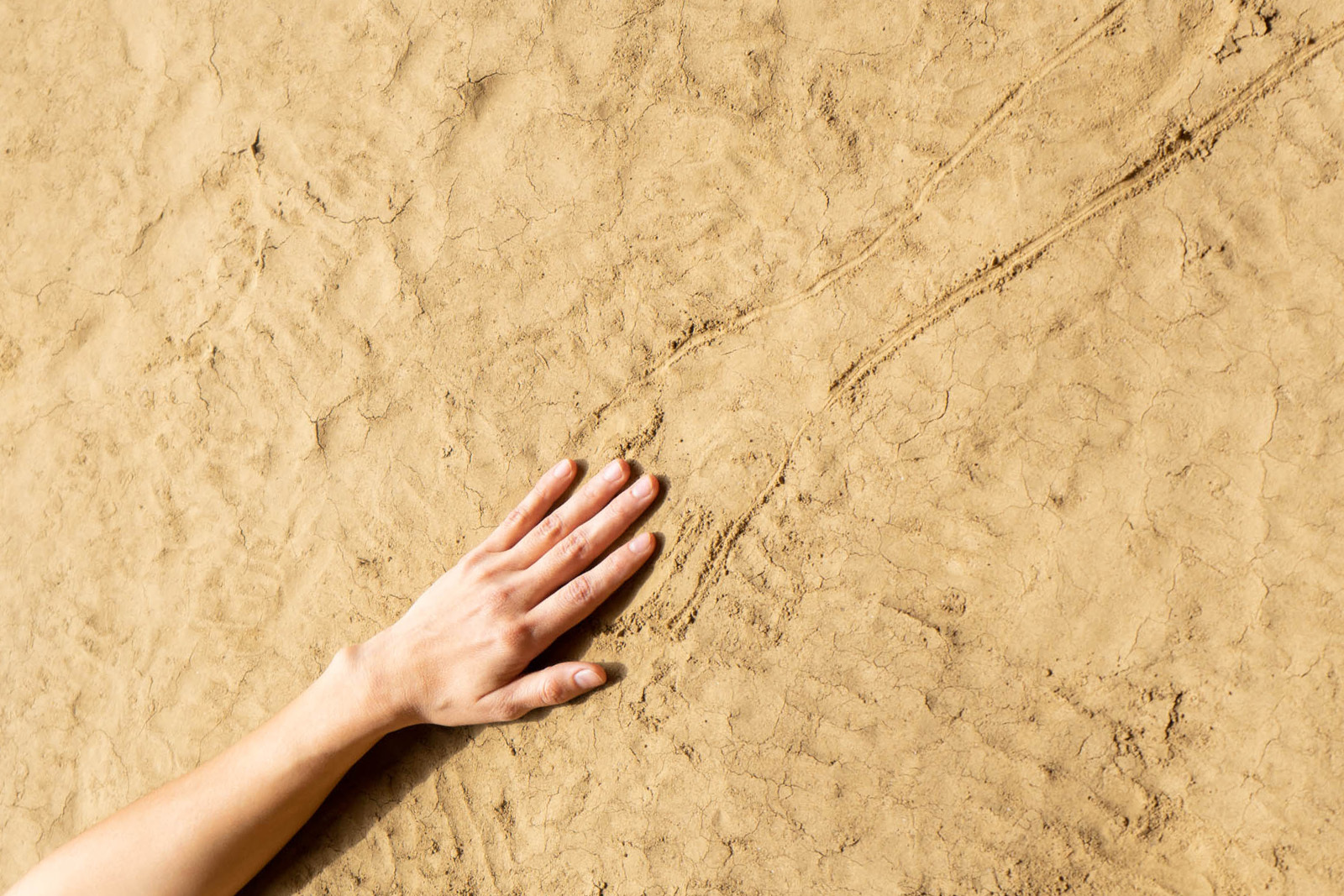 An Arm Rests On Tan Soil The Hand Meets With An Etched Outline Of Another Arm Homepage