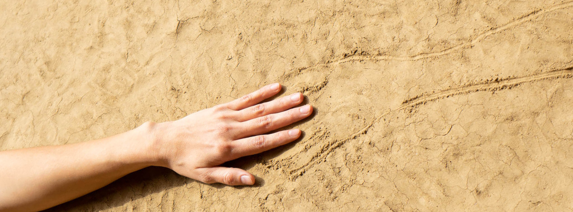 An Arm Rests On Tan Soil The Hand Meets With An Etched Outline Of Another Arm