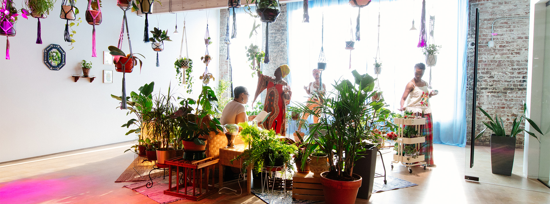 Banner view of Angela Drakeford's Homecoming. The gallery is full of light and plants. Four Black women explore the space, sitting and reading, and reaching up toward plants hanging from the ceiling.