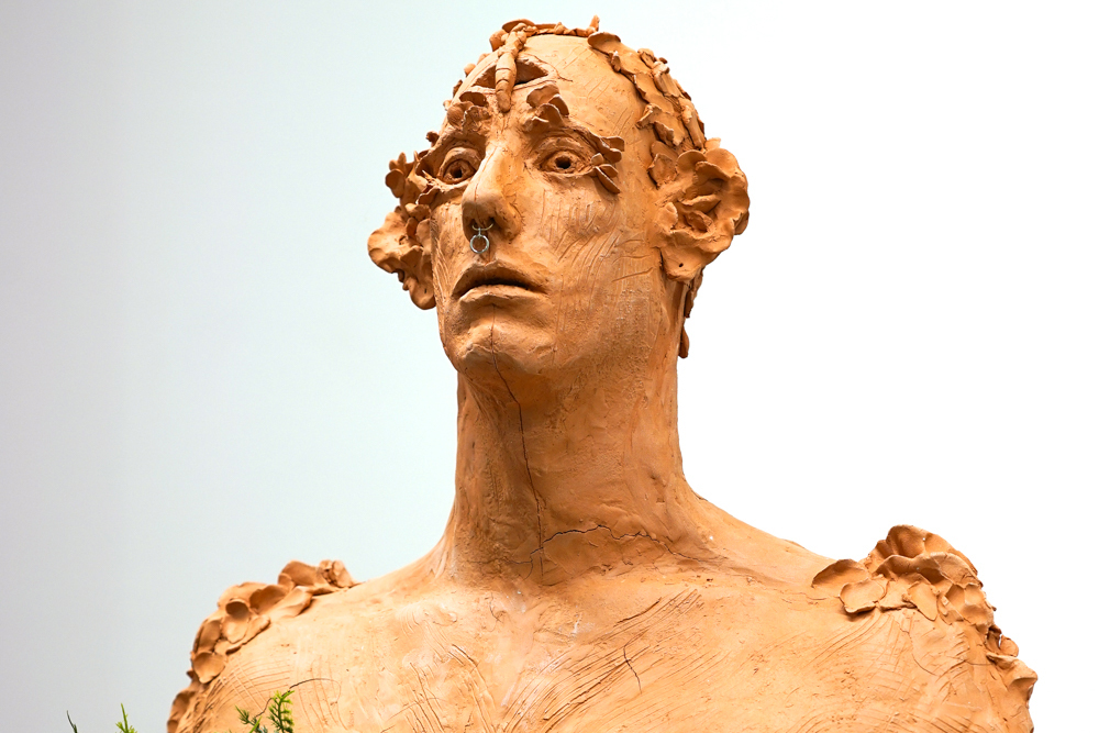 Ashton Fellows Artwork Slideshow05