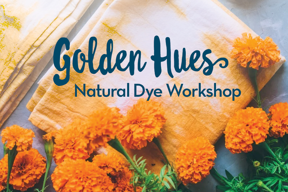 Golden Hues Thumbnail
