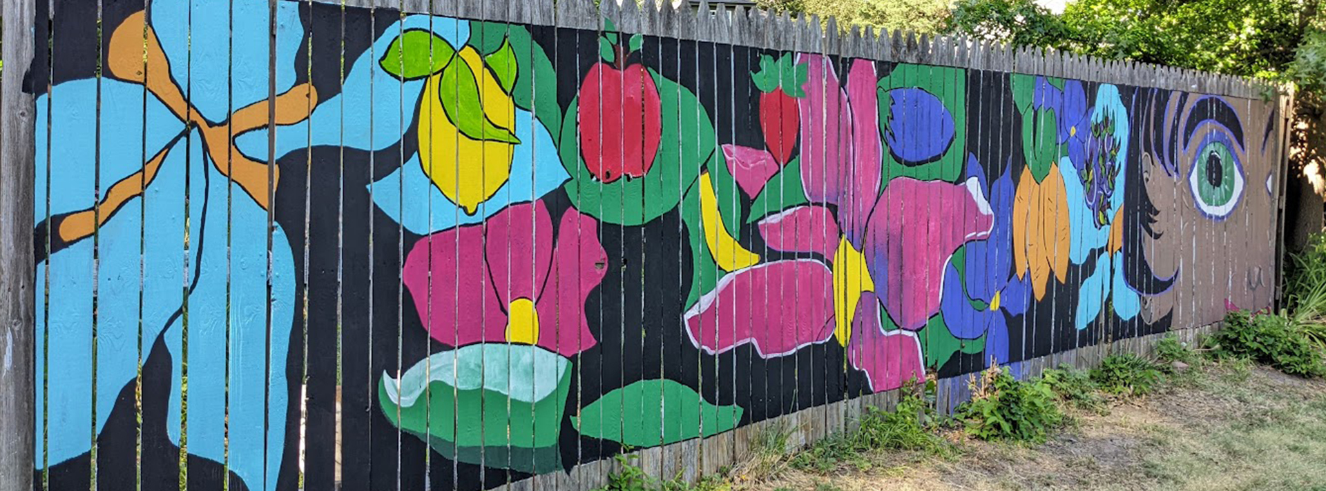 Header Carol Flora Project A mural of fruit and floral pattern and half a face on a wooden fence