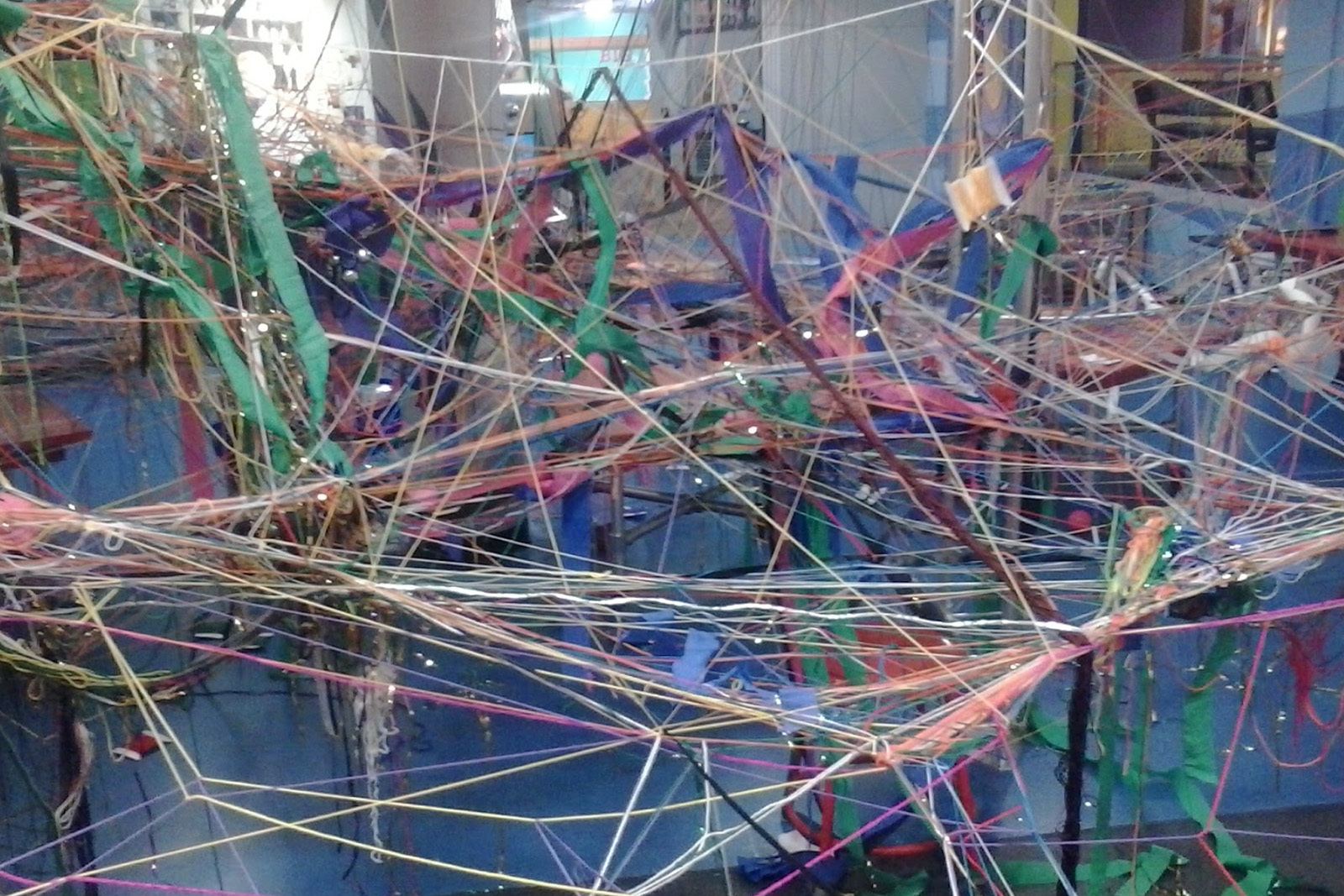 Outdoor Art Adventure photo of a dense web of woven threads
