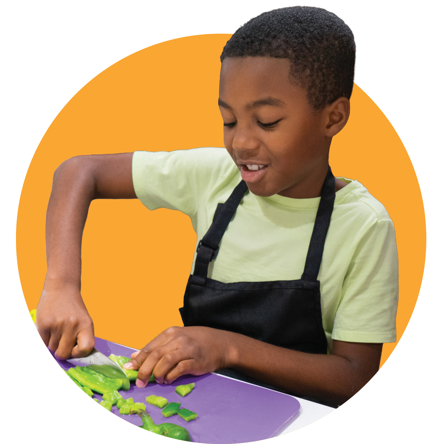 Youth Culinary Inset