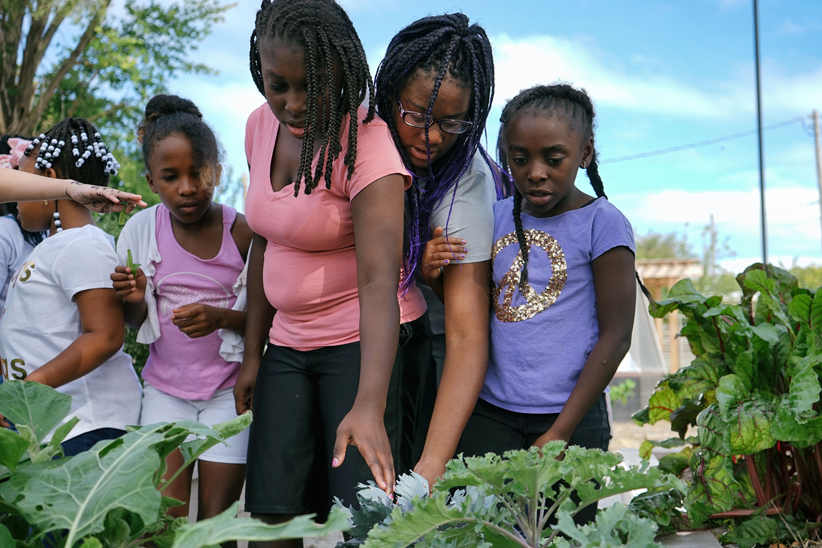 Four young girls stand overlook a garden of kale in the Abundance Garden